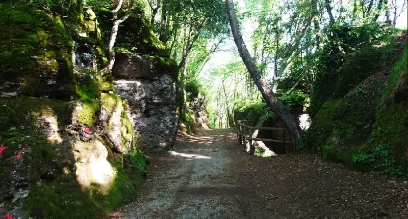 Trekking